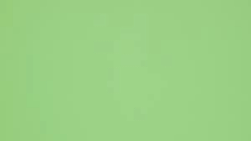 imagen con puro fondo verde